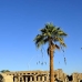 temple_karnak_lux_v_0090_egy1446.jpg